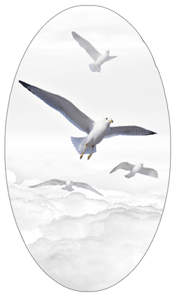 DNSBLUF 101 WT Journey Home Clouds Birds White